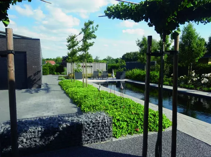 Tuinontwerp met koivijver - Tuinaannemer.be