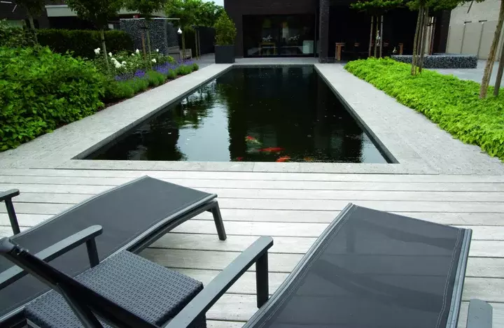 Tuinontwerp met koivijver - Tuinaannemer.be