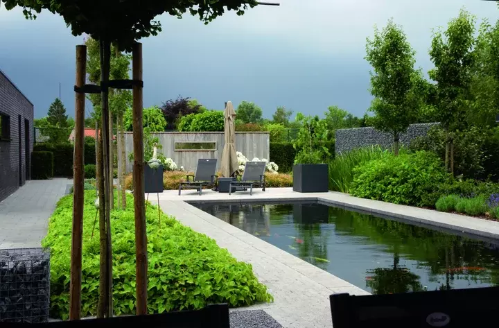 Tuinontwerp met koivijver - Tuinaannemer.be
