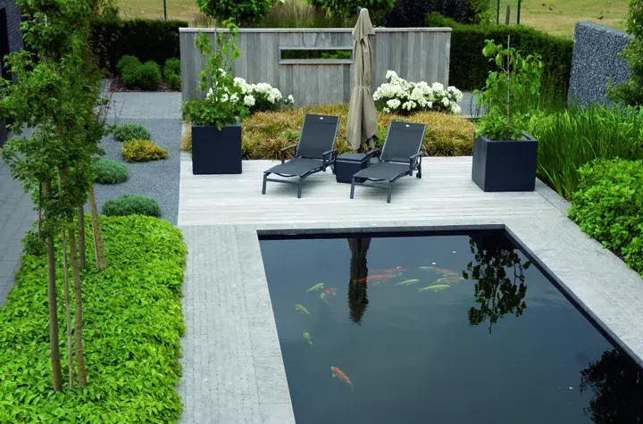 Tuinontwerp met koivijver - Tuinaannemer.be