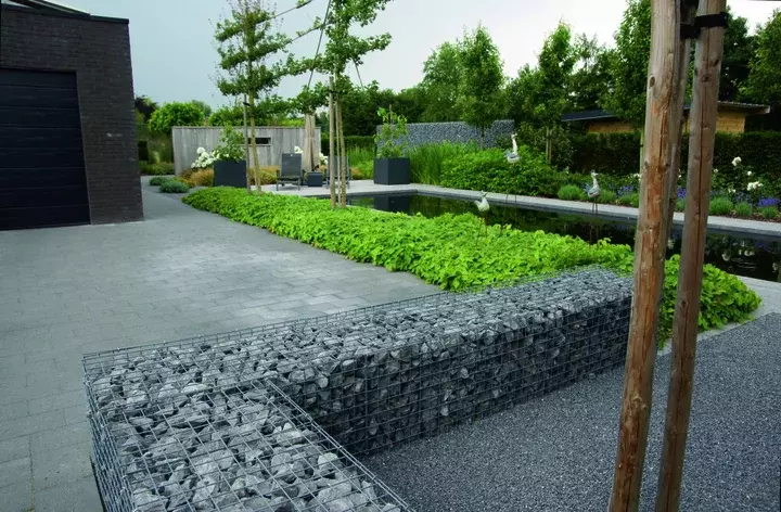 Tuinontwerp met koivijver - Tuinaannemer.be