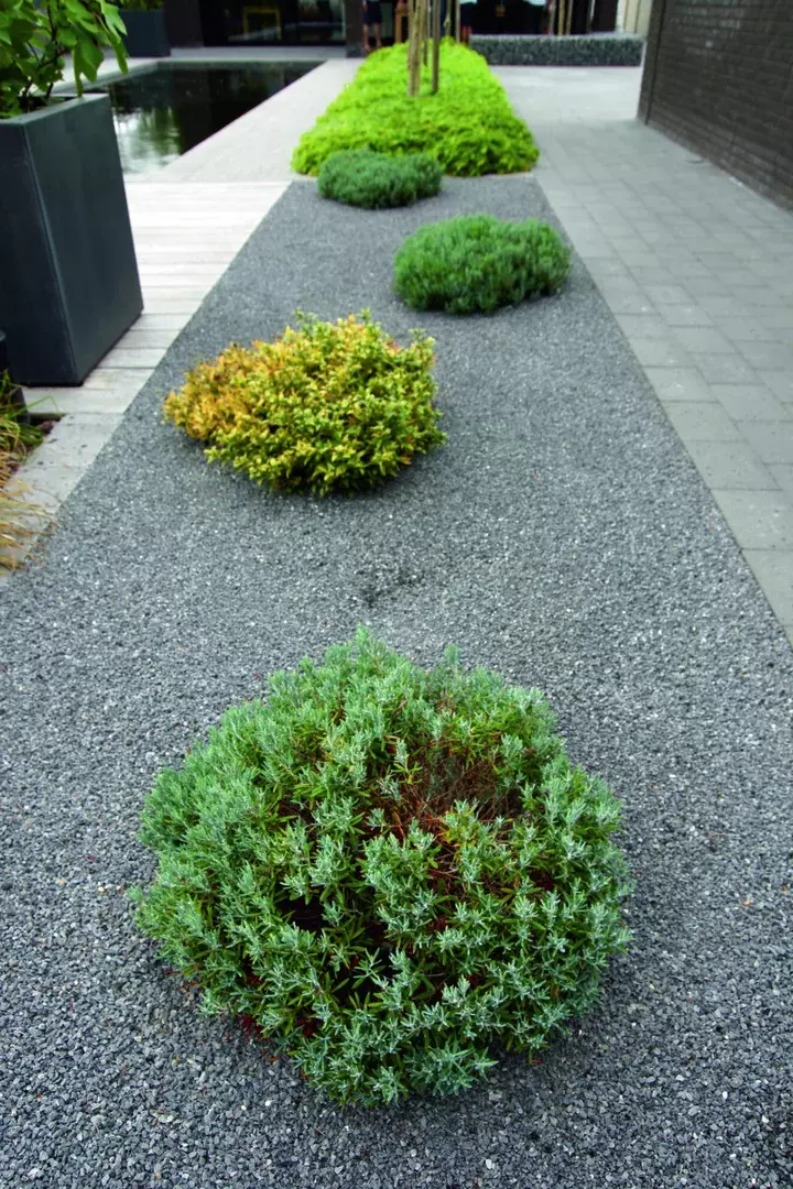Tuinontwerp met koivijver - Tuinaannemer.be