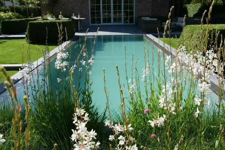 Moderne tuin aanleggen op zandgrond - Tuinaannemer.be
