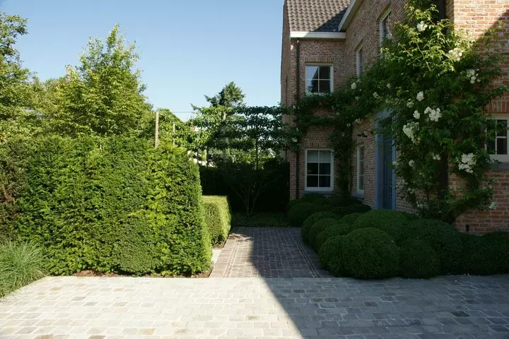 Moderne tuin aanleggen op zandgrond - Tuinaannemer.be