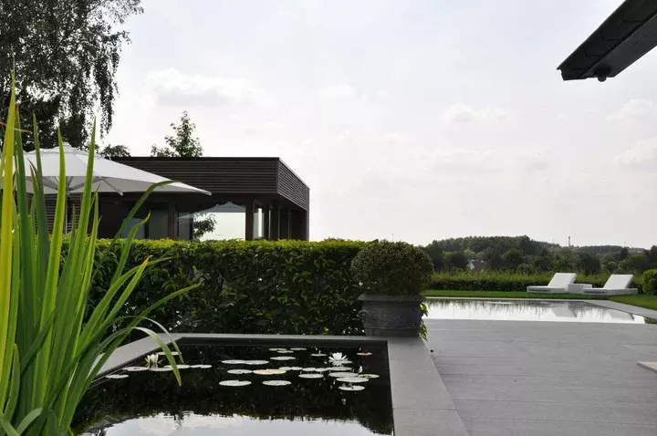 Zuidgerichte achtertuin - Tuinaannemer.be
