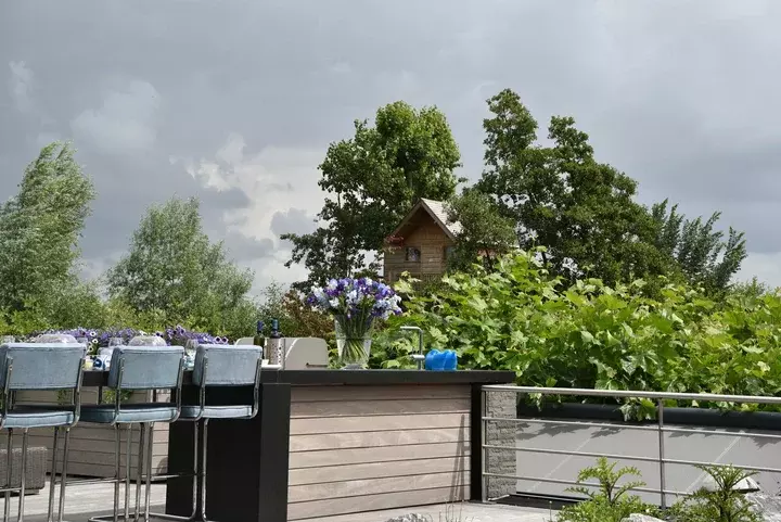 Luxe daktuin met alpiene planten - Tuinaannemer.be