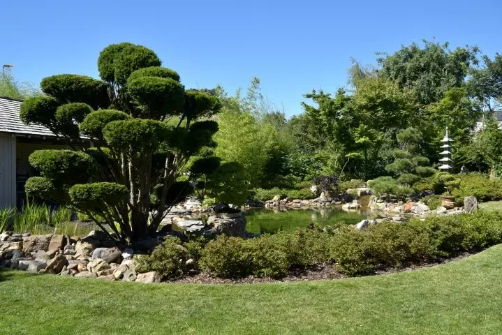 Japanse tuin - Tuinaannemer.be