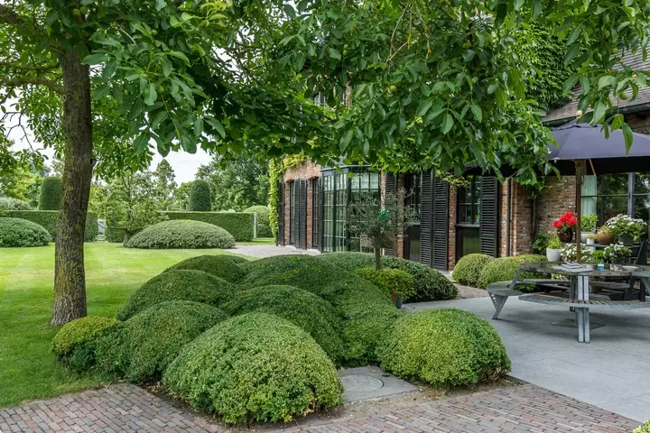 Engelse tuin - snoeien
