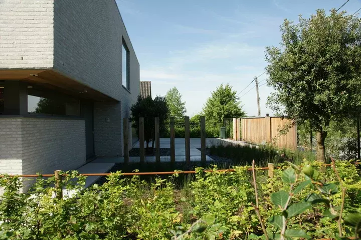 Zwemvijver met moderne beplanting - Tuinaannemer.be