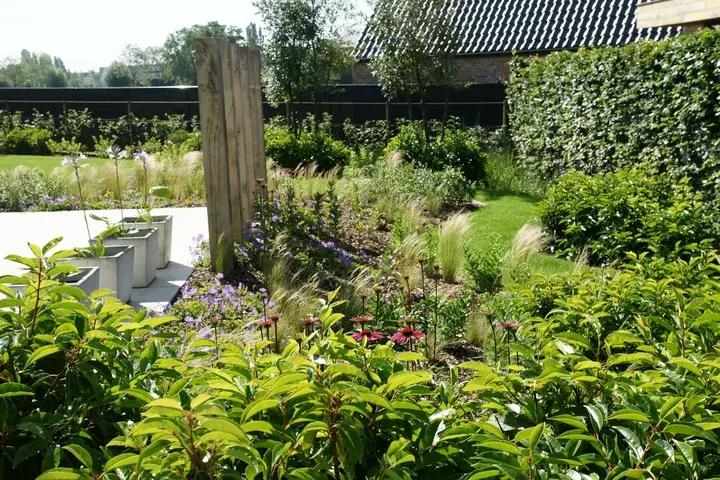 Zwemvijver met moderne beplanting - Tuinaannemer.be