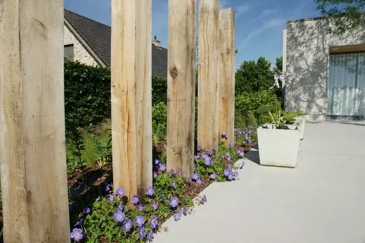 Zwemvijver met moderne beplanting - Tuinaannemer.be