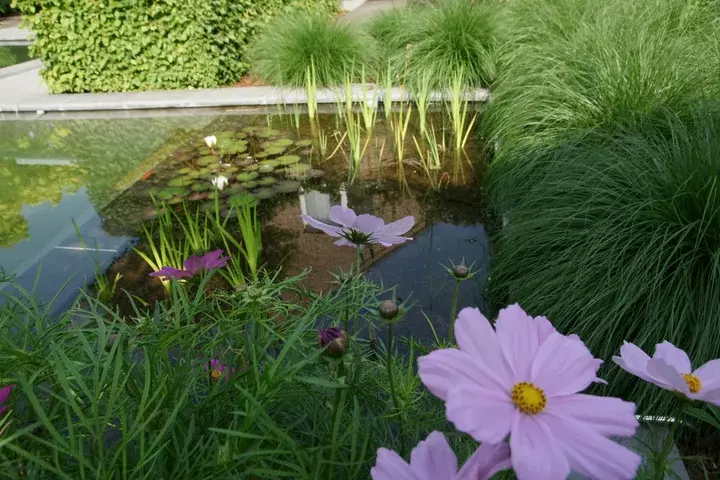 Duurzaam tuinontwerp - Tuinaannemer.be