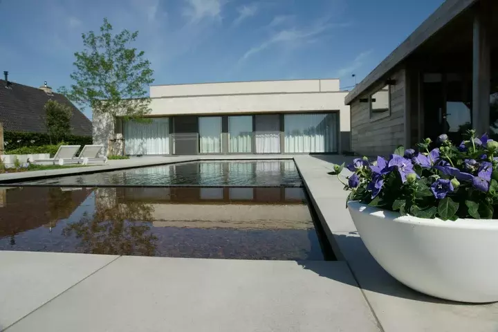 Zwemvijver met moderne beplanting - Tuinaannemer.be