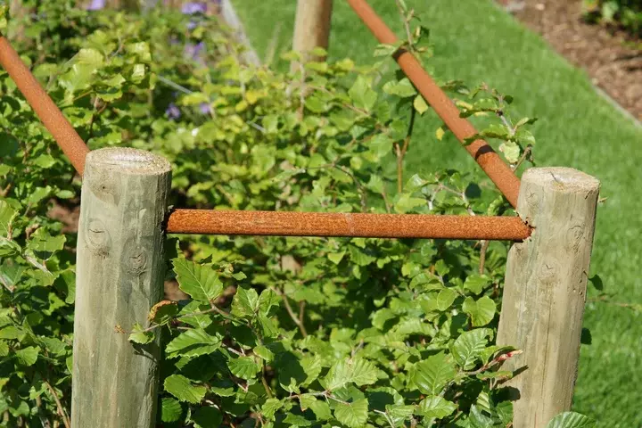 Zwemvijver met moderne beplanting - Tuinaannemer.be