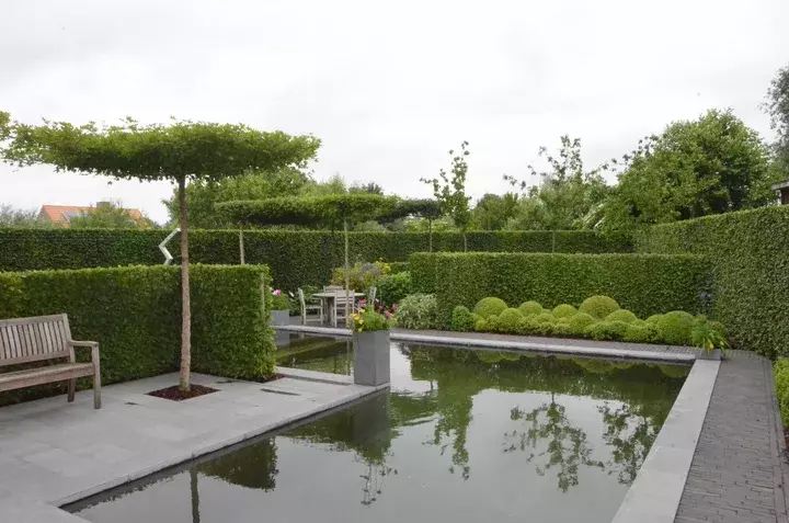 Duurzaam tuinontwerp - Tuinaannemer.be