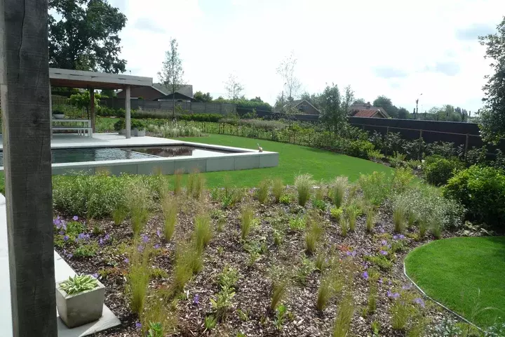 Zwemvijver met moderne beplanting - Tuinaannemer.be
