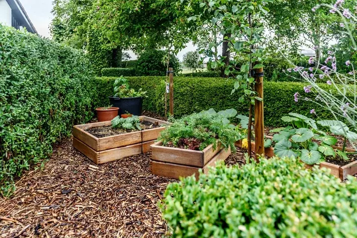 Kindvriendelijke tuin aanleggen - Tuinaannemer.be