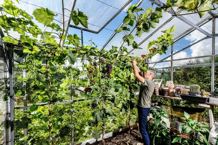 Natuurlijke tuin aanleggen - Tuinaannemer.be