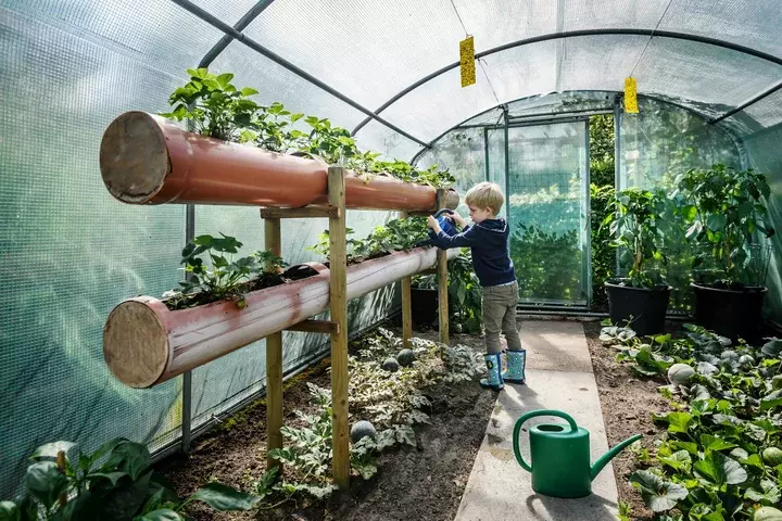 Natuurlijke tuin aanleggen - Tuinaannemer.be
