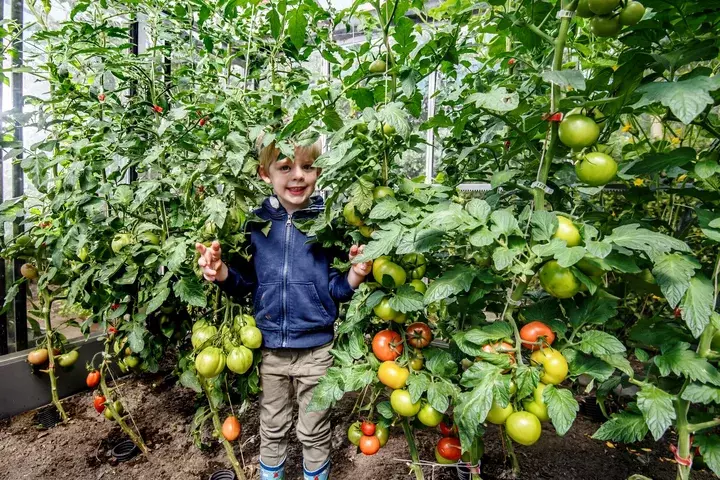 Natuurlijke tuin aanleggen - Tuinaannemer.be