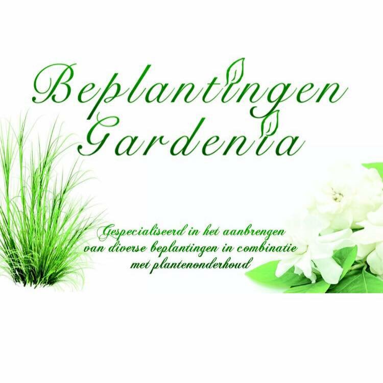 Beplantingen Gardenia 
