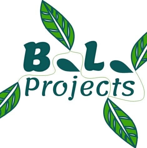 B.L. Projects