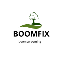 Boomfix