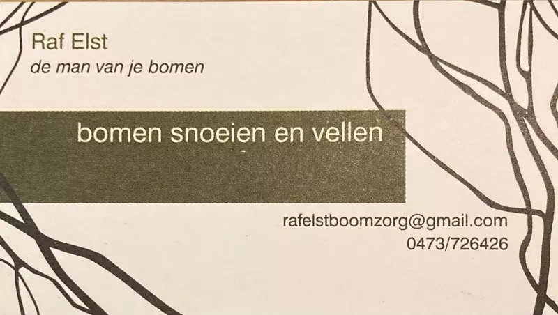 Raf Elst Boomzorg