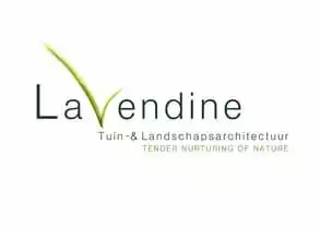 Lavendine