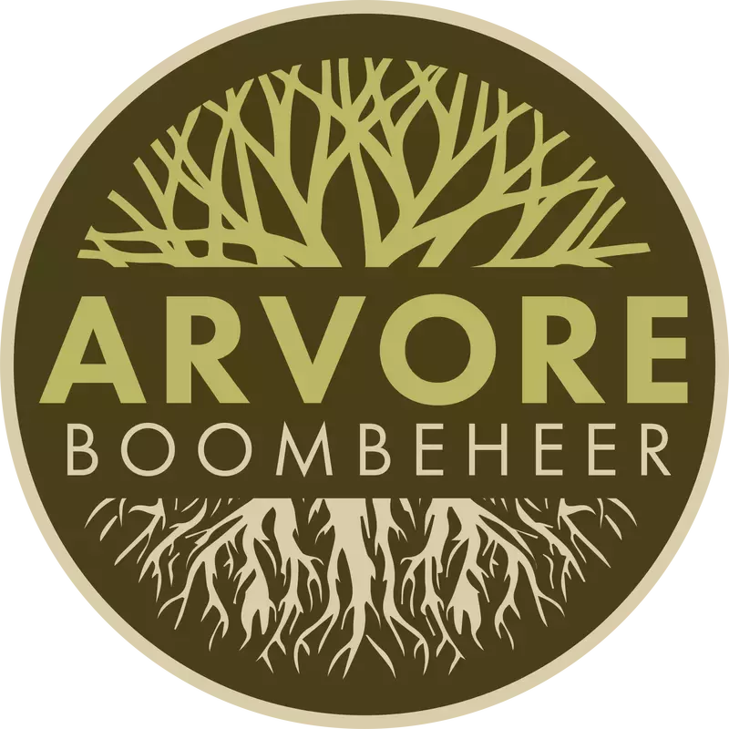 Arvore boombeheer