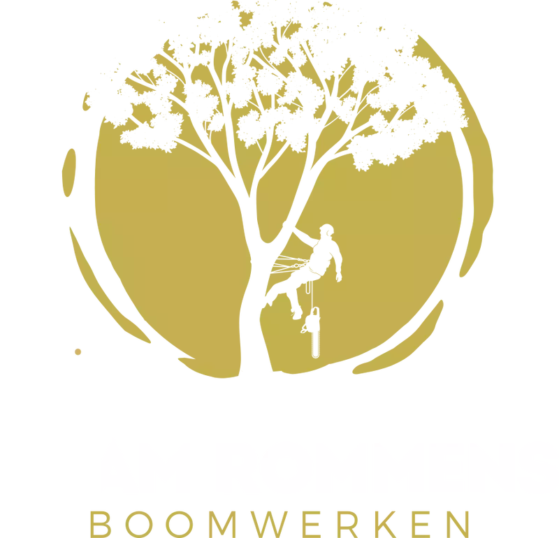 Bram Rommens