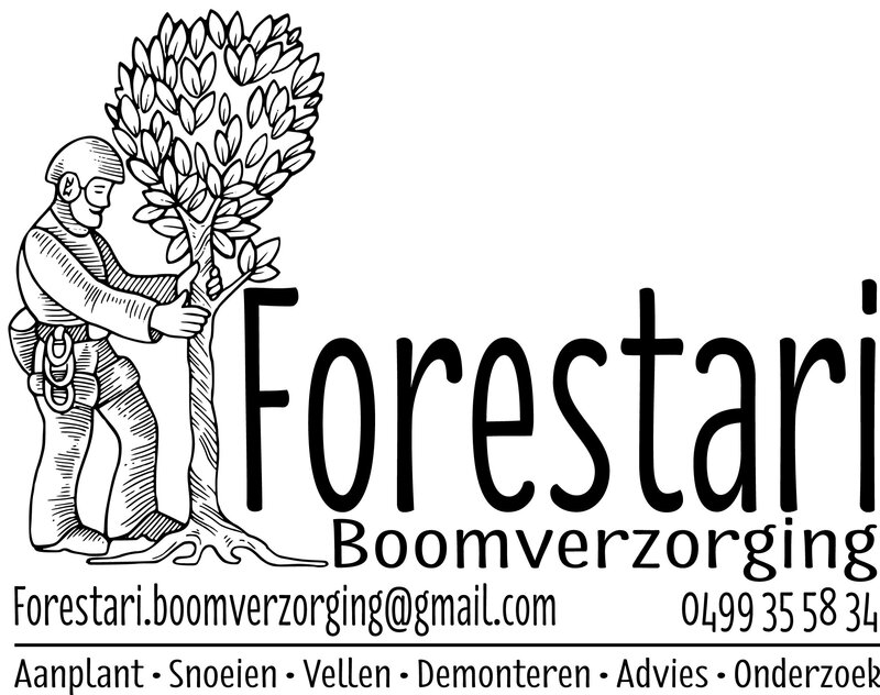 Forestari Boomverzorging