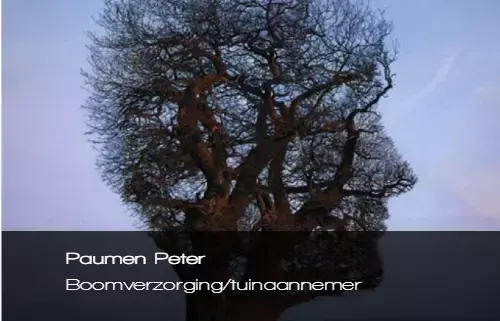 Paumen Peter boomverzorging / tuinaannemer