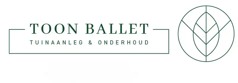 Toon Ballet