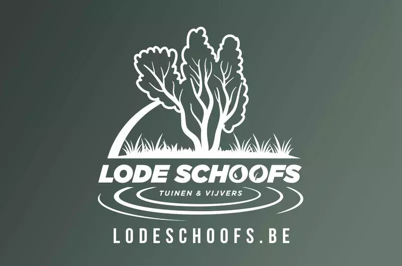 Lode Schoofs BV