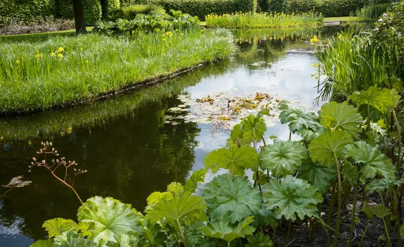 Tuinwerken Andries