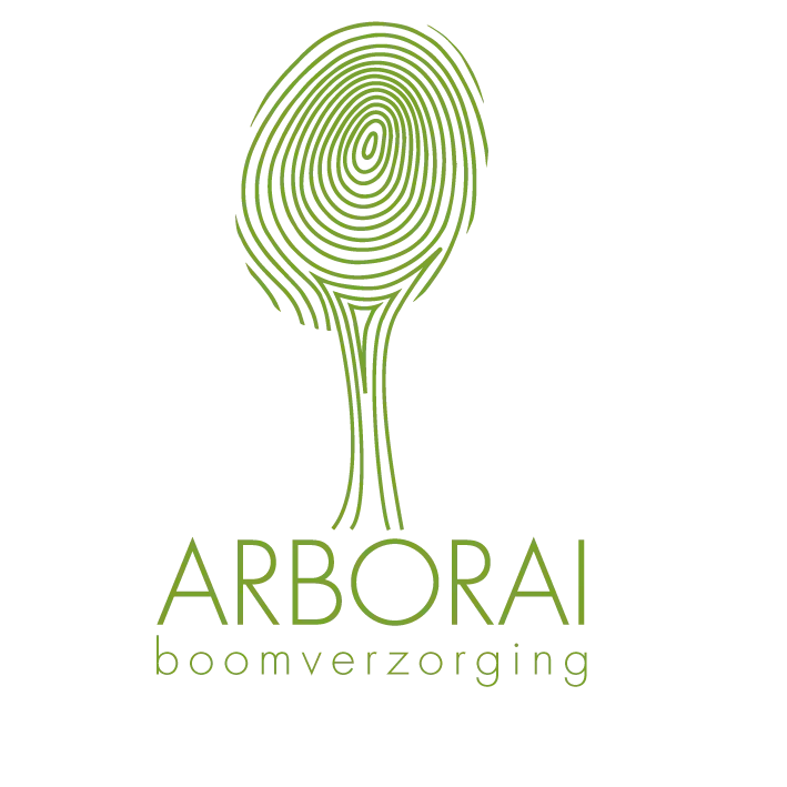 Arborai Boomverzorging