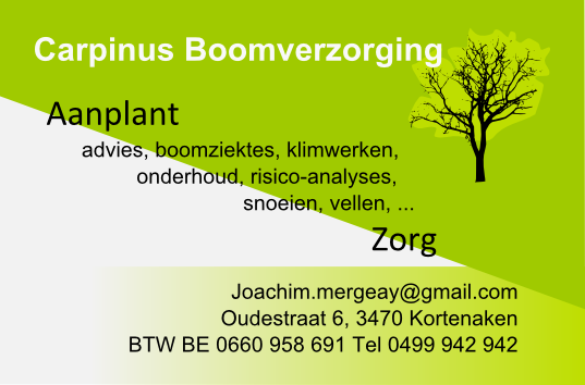 Carpinus Boomverzorging