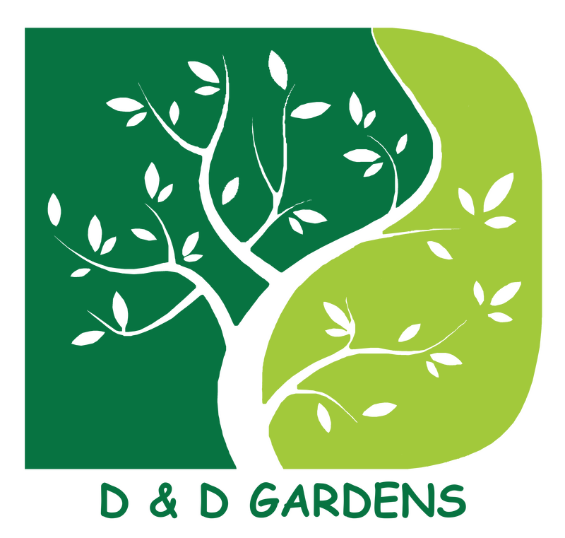 D&D Gardens