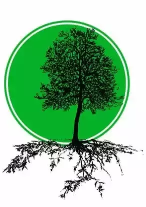 Boomverzorging Van der Linden