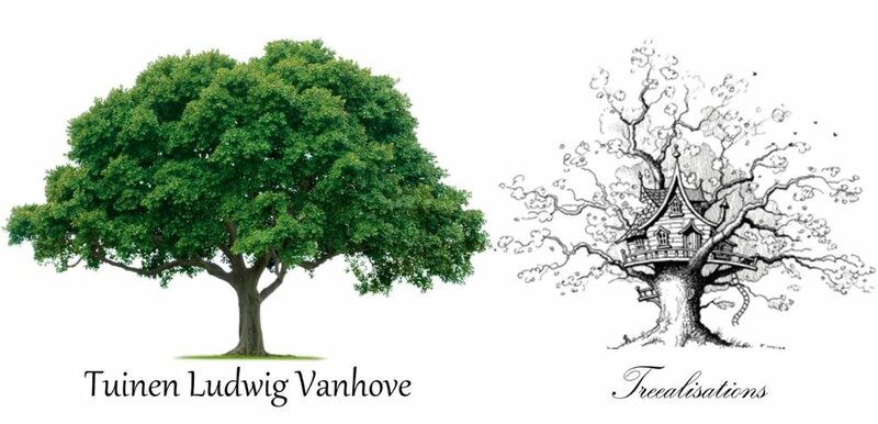 Tuinen Ludwig Vanhove / Treealisations