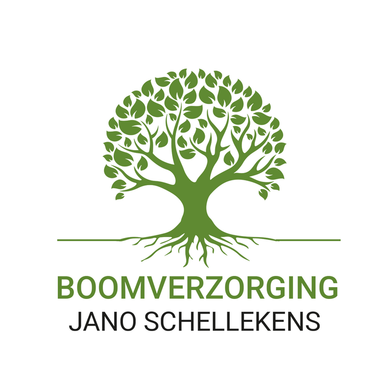 Boomverzorging Jano Schellekens