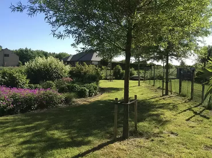 GROENCREATIE Pedro Spruytte