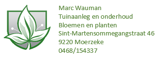 Marc Wauman