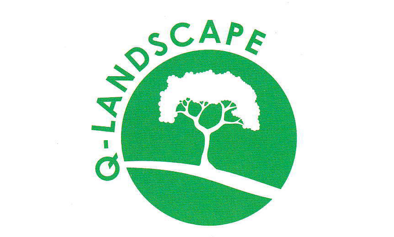 Q-Landscape