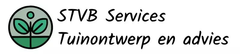 STVB Services