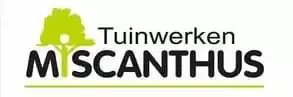 Tuinwerken Miscanthus