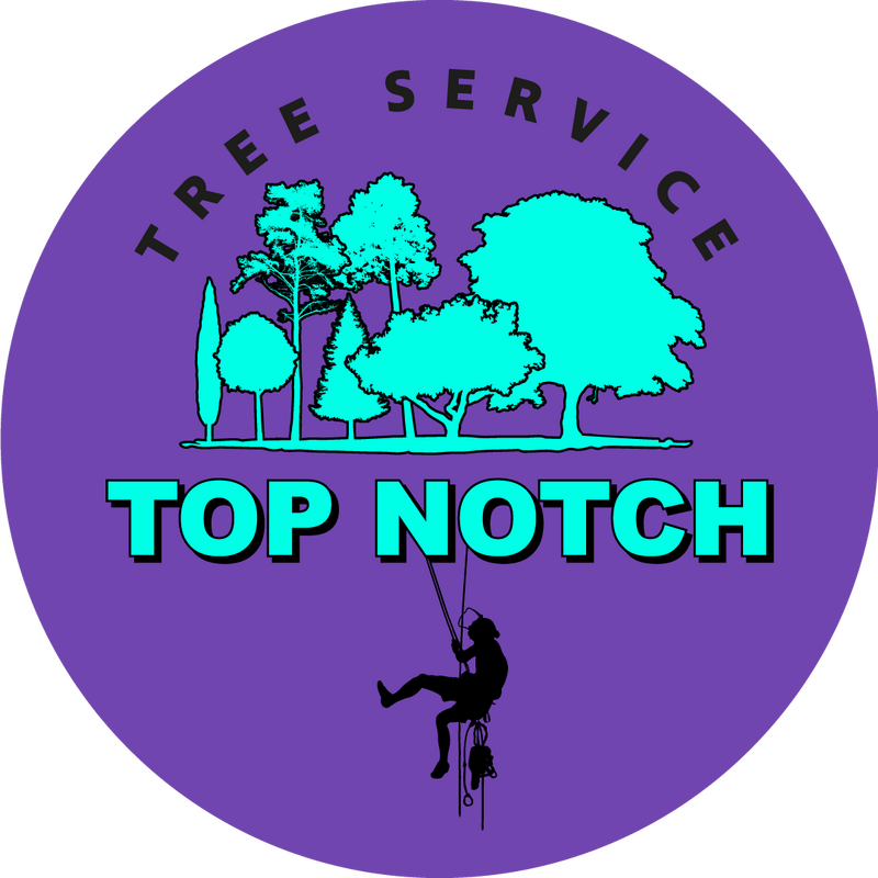 Top Notch Tree Service BV
