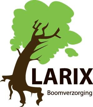 Boomverzorging Larix