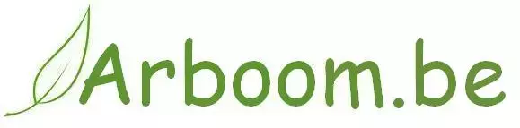 arboom.be